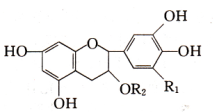 茶多酚;绿茶提取物分子式结构图