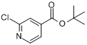 2-氯异烟酸叔丁酯分子式结构图