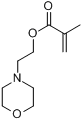 2-甲基-2-丙烯酸2-(4-吗啉基)乙基酯;甲基丙烯酸[2-(4-吗啉基)乙基]酯分子式结构图