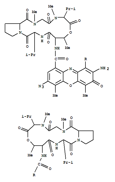 分子式结构图