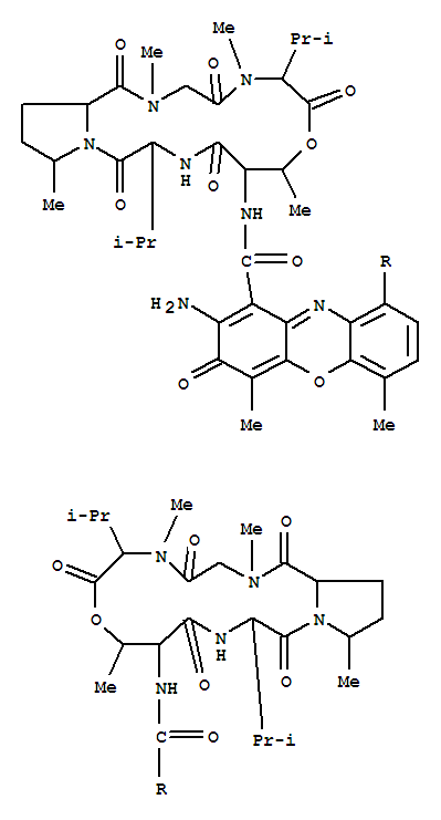 分子式结构图