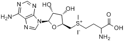 S-腺苷基-L-蛋氨碘盐分子式结构图