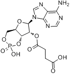 3ˊ:5ˊ-环一磷酸-2ˊ-O-一丁二酰腺苷分子式结构图