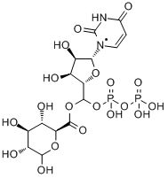 分子式结构图