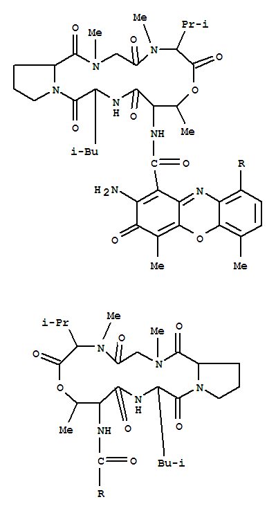 分子式结构图