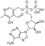 分子式结构图