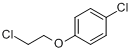 1-氯-4-(2-氯乙氧基)苯分子式结构图