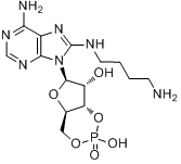 分子式结构图