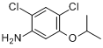 2,4-二氯-5-异丙氧基苯胺分子式结构图