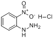 2-硝基苯肼盐酸盐分子式结构图