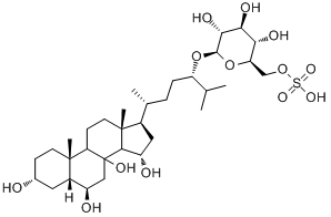 分子式结构图