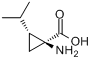 分子式结构图