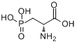 D(-)-2-Amino-3-phosphonopropionic acid分子式结构图