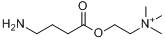 分子式结构图