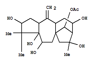 分子式结构图