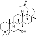 分子式结构图