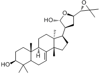 分子式结构图