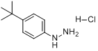 4-特丁基苯肼盐酸盐;1-(4-叔丁基苯)肼盐酸盐;4-叔丁基苯肼一水盐酸盐;4-特丁基苯肼单盐酸盐分子式结构图