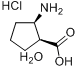 CIS-2-AMINO-1-CYCLOPENTANECARBOXYLIC ACID HYDROCHLORIDE HEMIHYDRATE分子式结构图