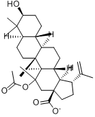 分子式结构图