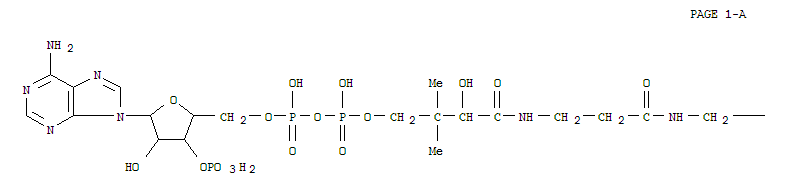 分子式结构图