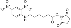 N-(2,4-二硝基苯基)-6-氨基己酸-N-琥伯酰亚胺;N-(2,4-二硝基苯基)-6-氨基己酸-N-琥伯酰亚胺酯分子式结构图