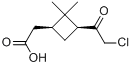 分子式结构图