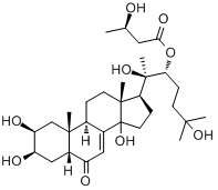 分子式结构图