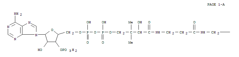 分子式结构图