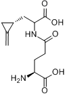 分子式结构图