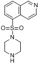 1-(5-异喹啉基磺酰)哌嗪二盐酸盐分子式结构图