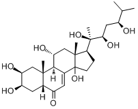 分子式结构图