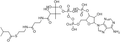 分子式结构图