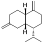 分子式结构图