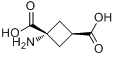 1-氨基环丁烷-反式-1,3-二羧酸分子式结构图