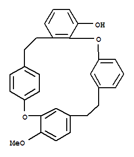 分子式结构图