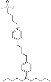 Neurodye RH-421分子式结构图