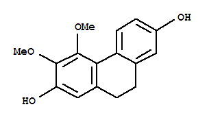 分子式结构图