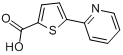 5-吡啶-2-基噻吩-2-乙酸;5-(2-吡啶基）噻吩-2-羧酸分子式结构图