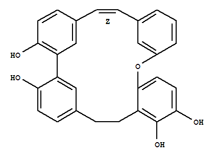 分子式结构图