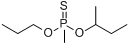 分子式结构图