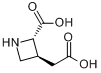 (2S,3S)-反式-3-(羧甲基)-氮杂环丁烷-2-乙酸分子式结构图