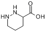 六氢哒嗪-3-羧酸分子式结构图