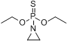 分子式结构图