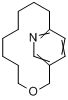 分子式结构图