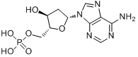 2′-脱氧酰苷-5′-一磷酸二钠盐分子式结构图