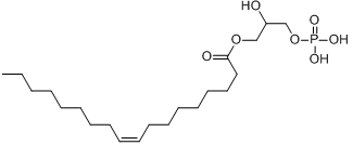 分子式结构图