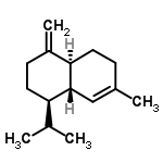 分子式结构图