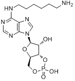 分子式结构图