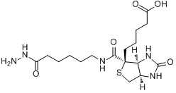 BIOTIN-AC5-HYDRAZIDE分子式结构图